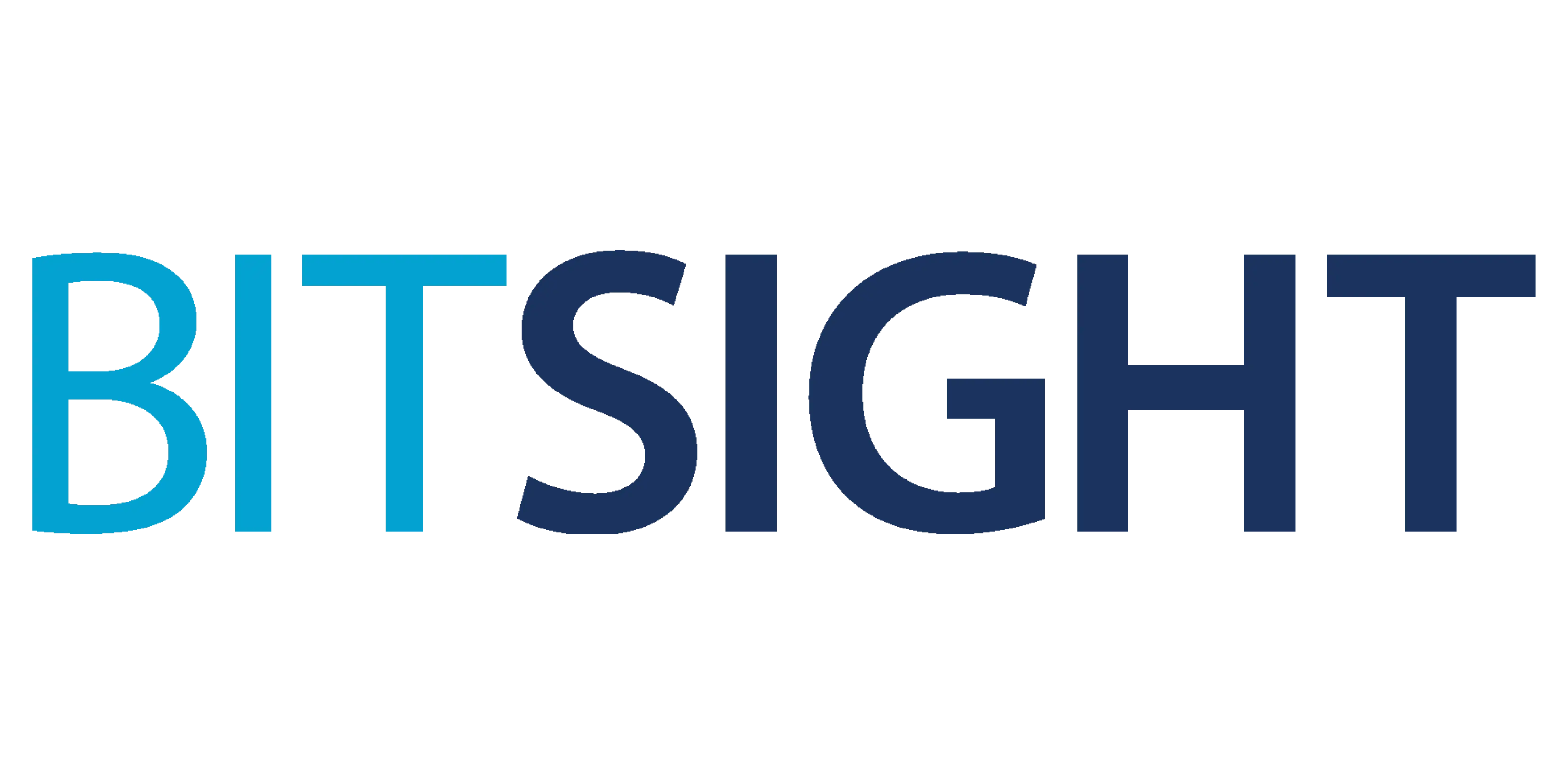 Bitsight