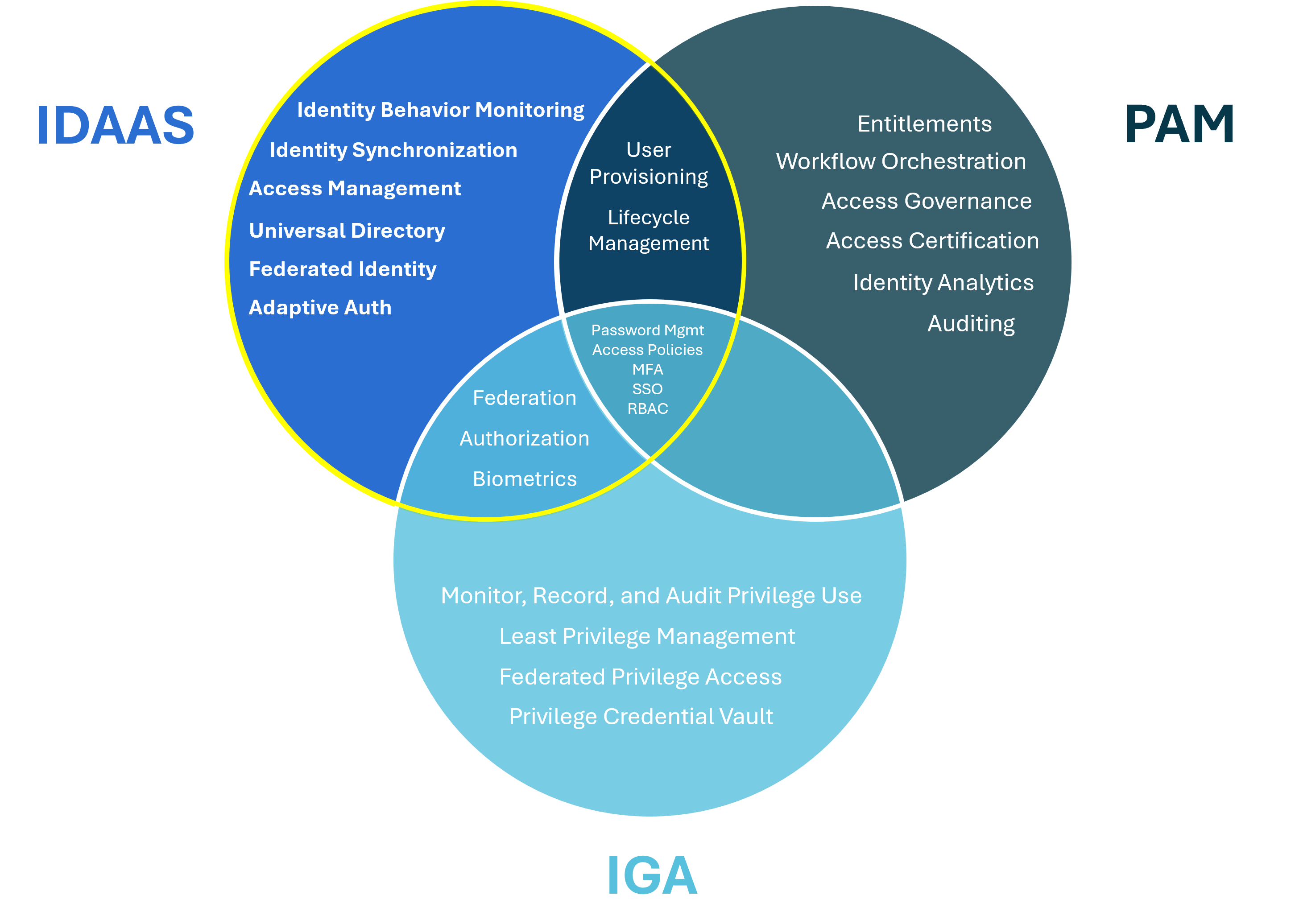 IDAAS Graphic